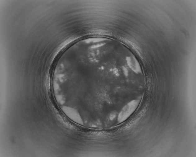X0000111591125200908131334