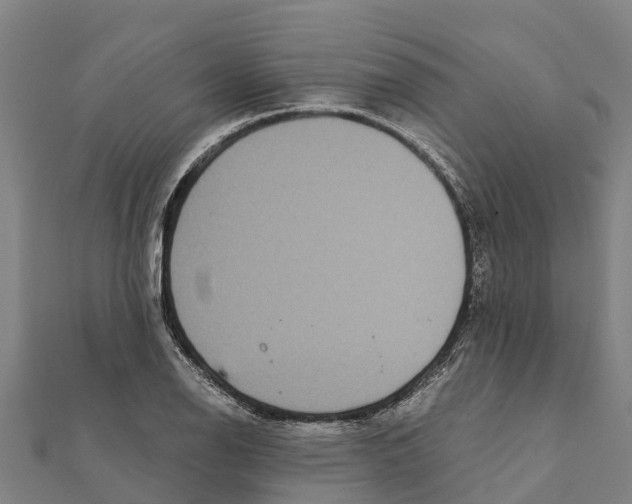 X0000111591126200908131335