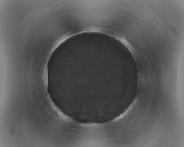 X0000111591127200908131335