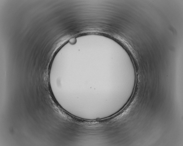 X0000111591129200908131335