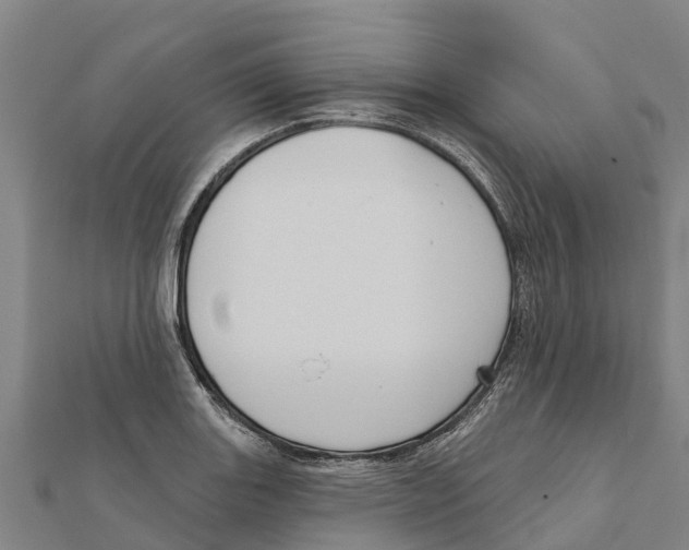 X0000111591131200908131335