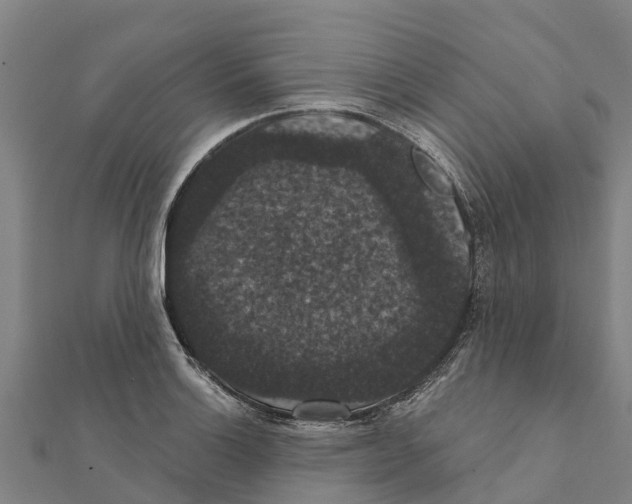 X0000111591132200908131335