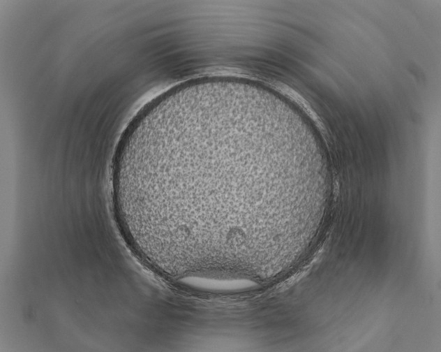 X0000111591133200908131335