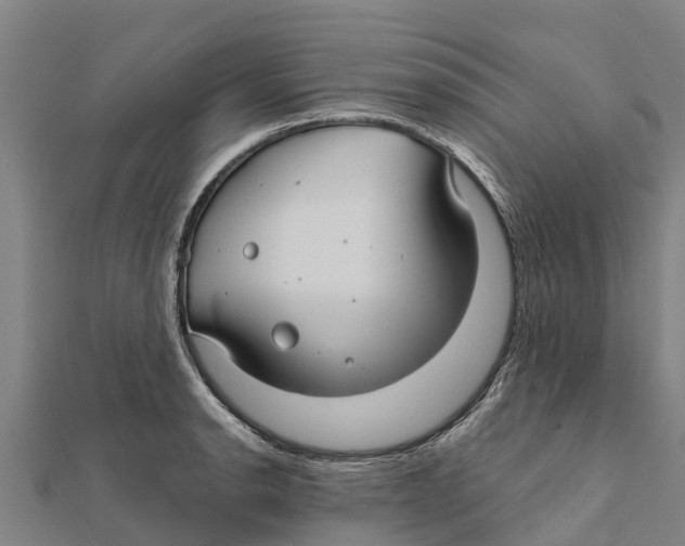 X0000111591134200908131335