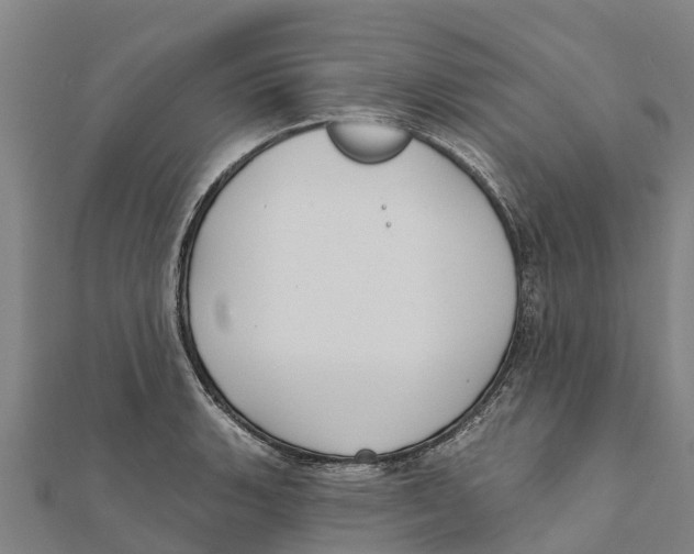 X0000111591135200908131335