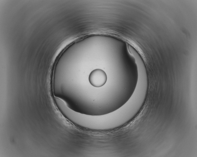 X0000111591138200908131335