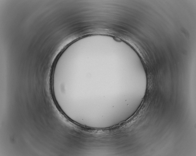 X0000111591139200908131335