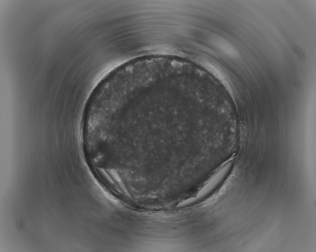 X0000111591141200908131335