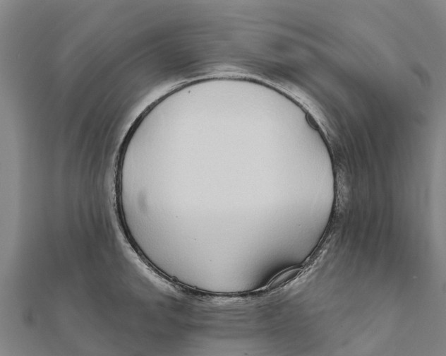 X0000111591142200908131335