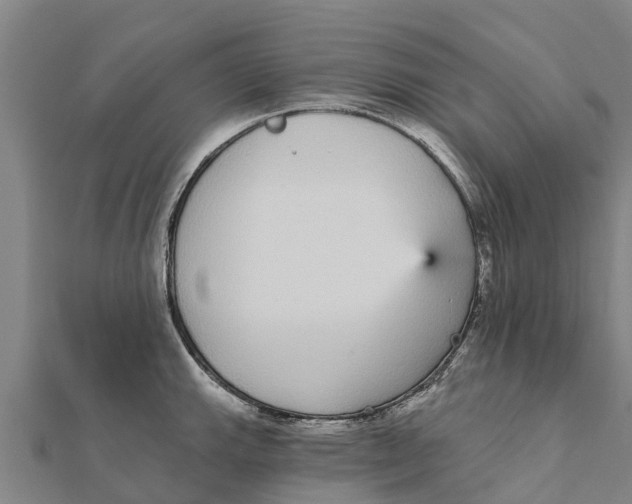 X0000111591143200908131335