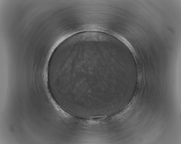 X0000111591144200908131335