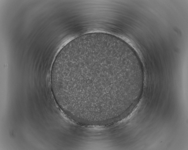 X0000111591145200908131335