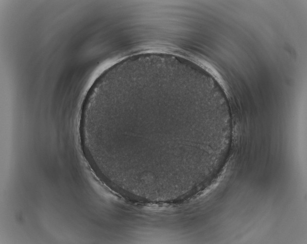 X0000111591146200908131335