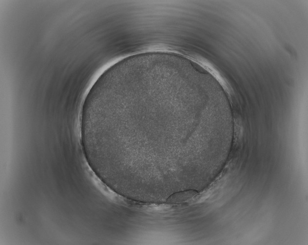 X0000111591148200908131335