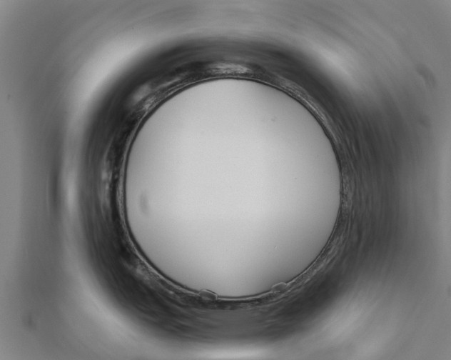 X0000111591151200908131335