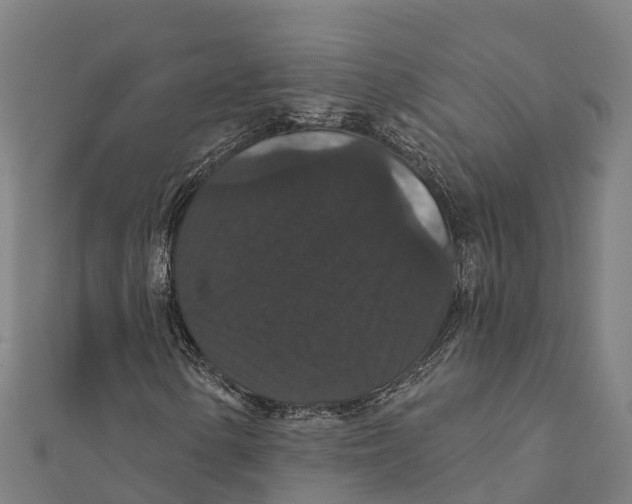 X0000111591154200908131334