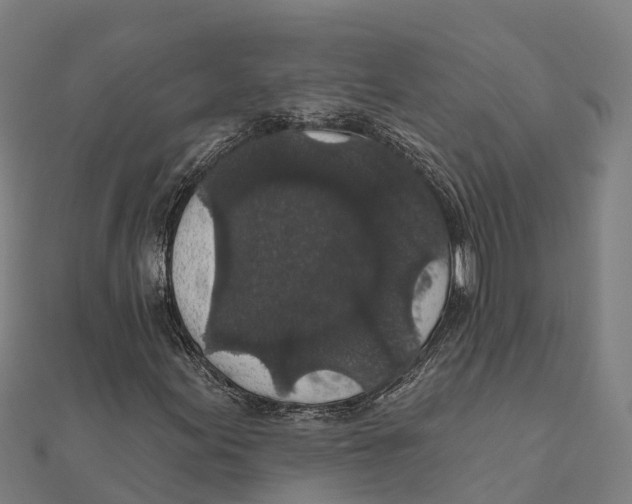 X0000111591155200908131334