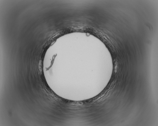X0000111591156200908131334