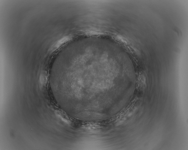 X0000111591157200908131334
