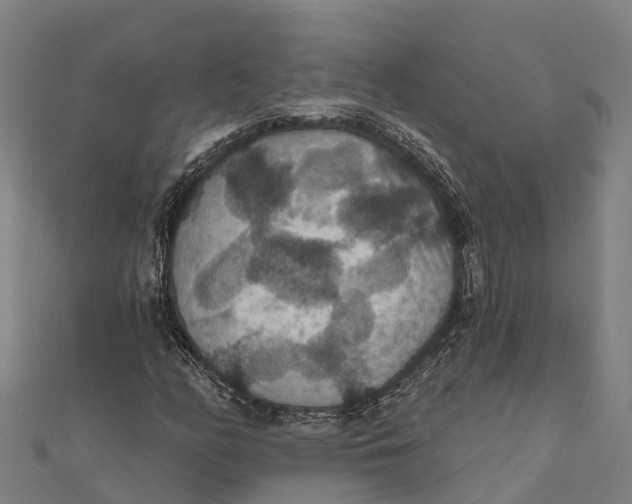 X0000111591158200908131334