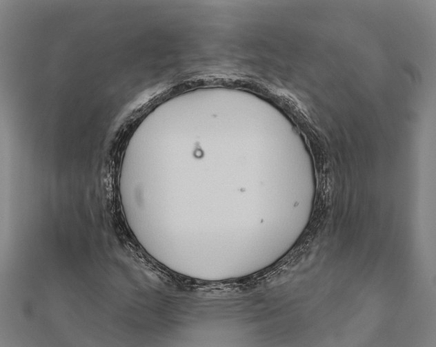 X0000111591159200908131334