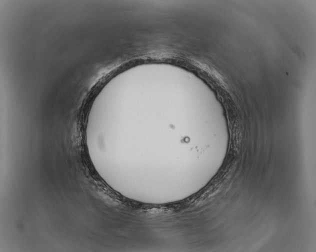 X0000111591160200908131334