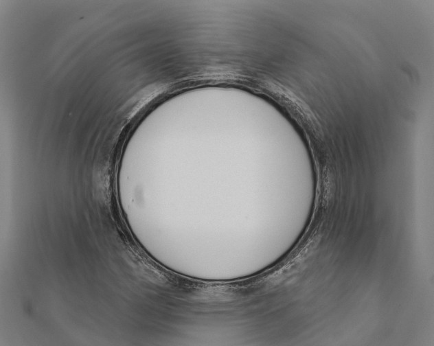 X0000111591162200908131334
