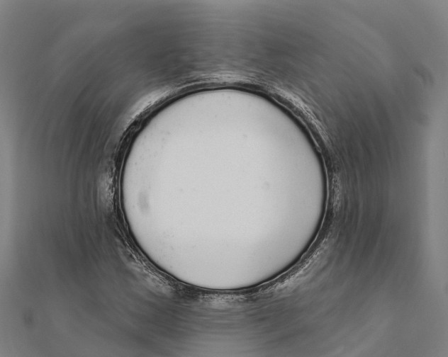 X0000111591163200908131334