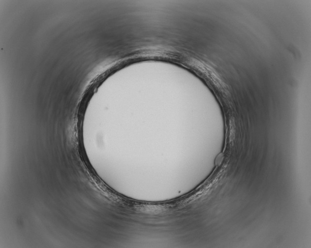 X0000111591164200908131334