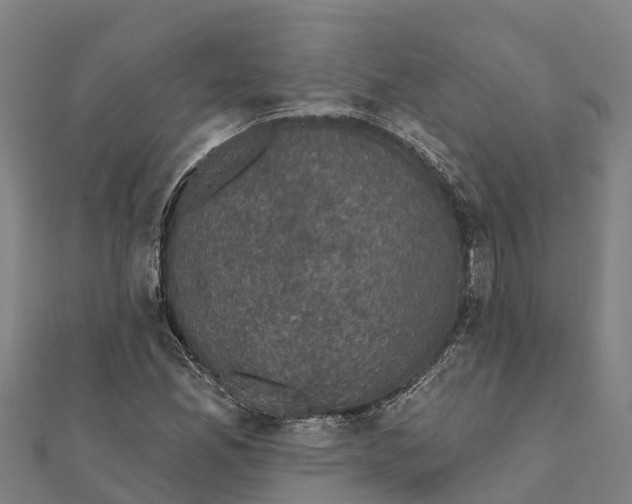 X0000111591165200908131334