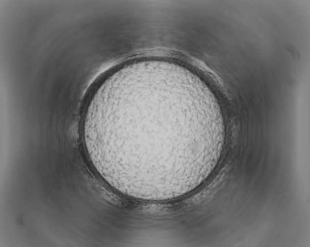 X0000111591166200908131334