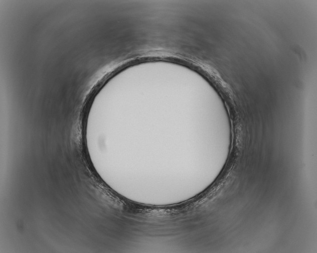 X0000111591167200908131334