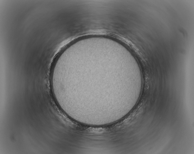 X0000111591168200908131334