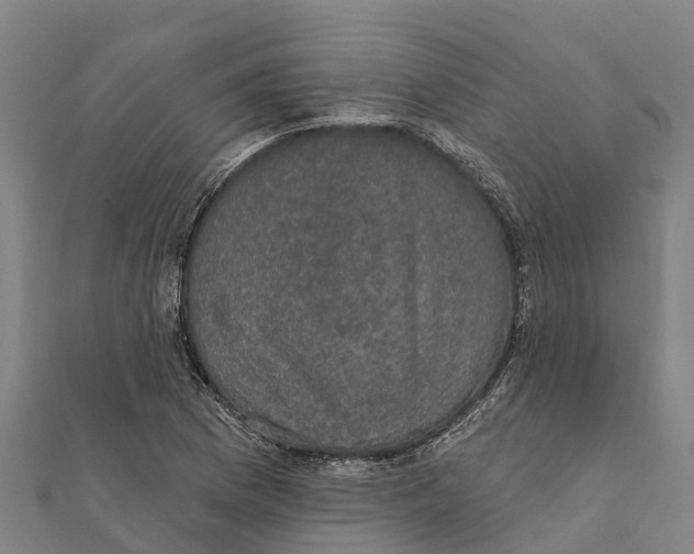 X0000111591169200908131334