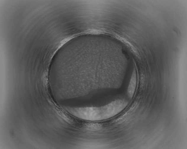 X0000111591170200908131334