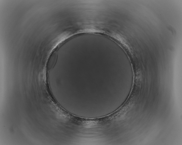 X0000111591173200908131334