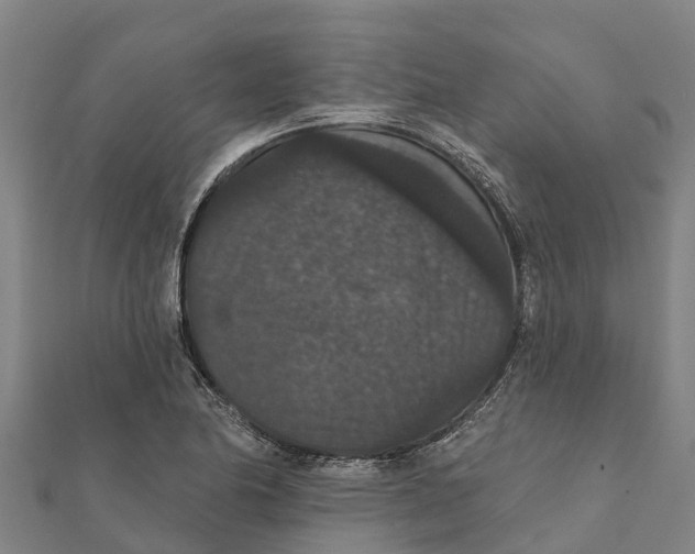 X0000111591174200908131334