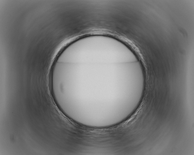 X0000111591175200908131334