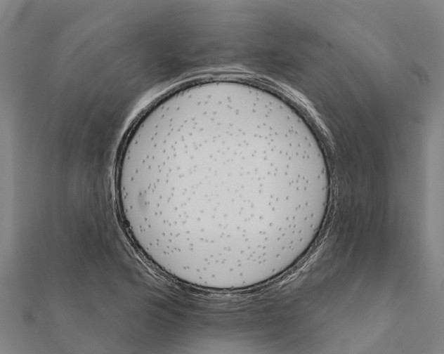 X0000111591176200908131334