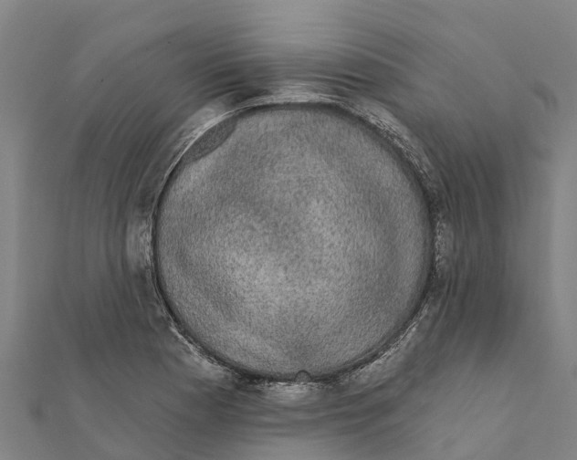 X0000111591177200908131334