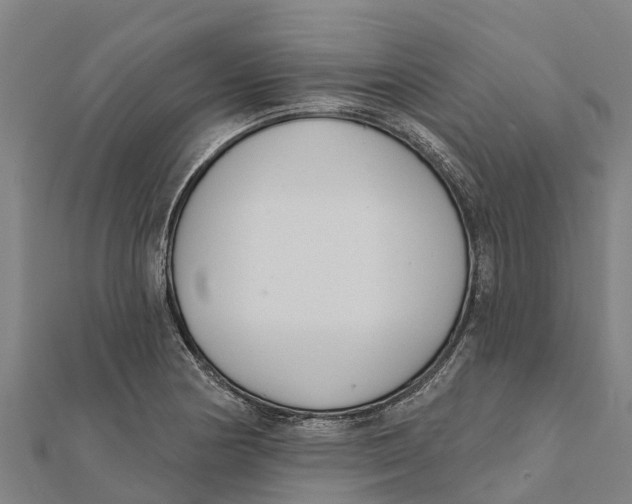 X0000111591178200908131334