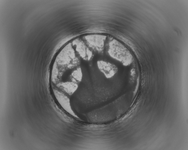X0000111591179200908131334