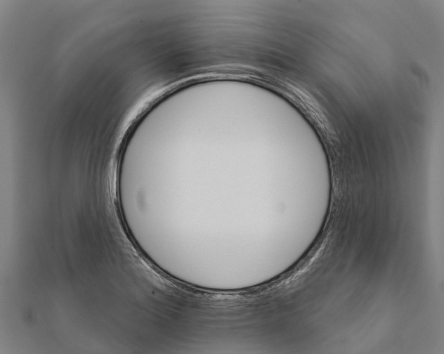 X0000111591180200908131334