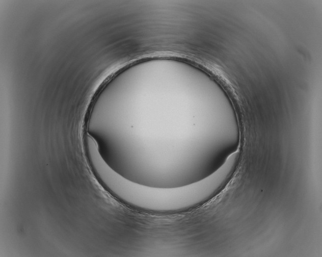 X0000111591181200908131334