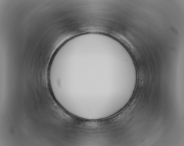 X0000111591182200908131334