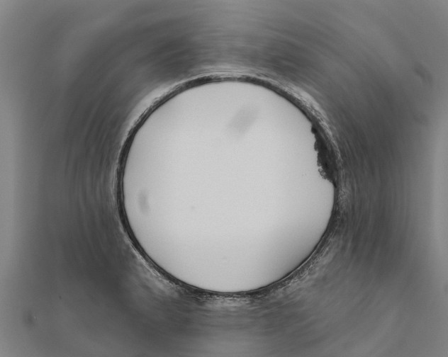 X0000111591183200908131334
