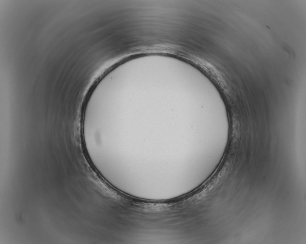 X0000111591184200908131334