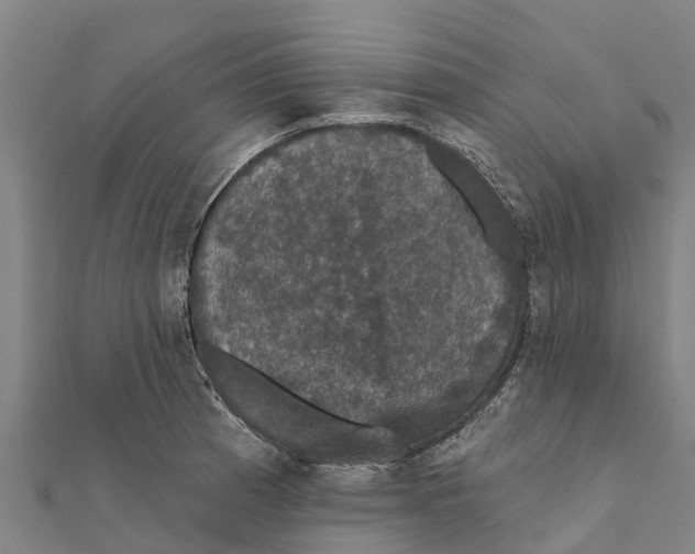 X0000111591185200908131334