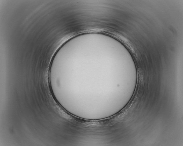X0000111591186200908131334