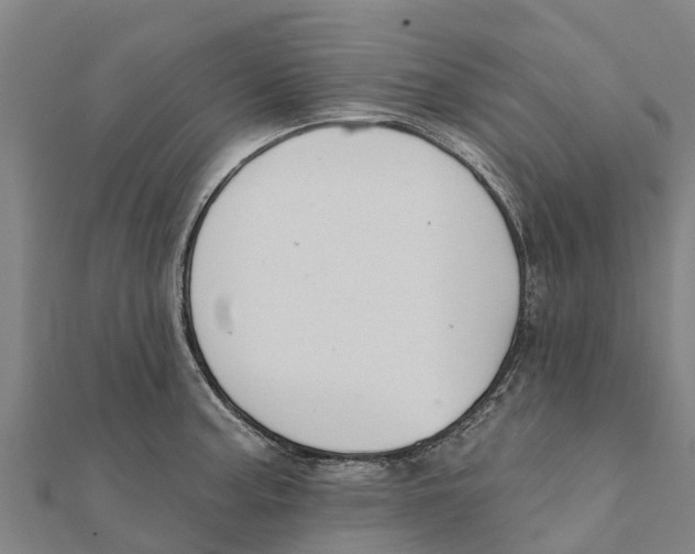 X0000111591187200908131334